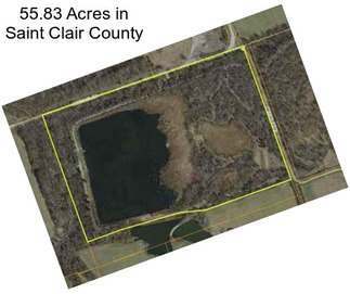 55.83 Acres in Saint Clair County