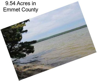 9.54 Acres in Emmet County