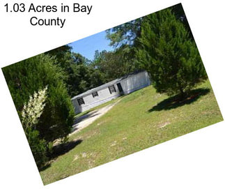 1.03 Acres in Bay County