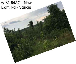 +/-81.64AC - New Light Rd - Sturgis