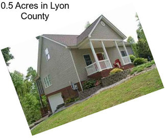 0.5 Acres in Lyon County