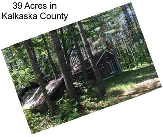 39 Acres in Kalkaska County