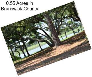 0.55 Acres in Brunswick County