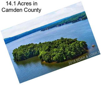 14.1 Acres in Camden County