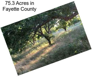 75.3 Acres in Fayette County