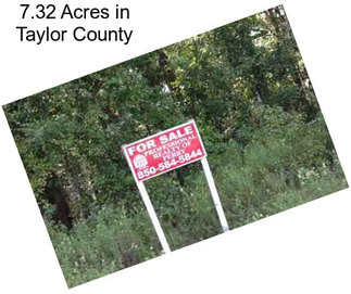 7.32 Acres in Taylor County