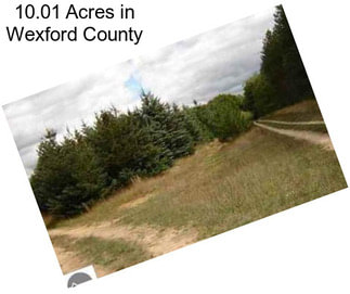 10.01 Acres in Wexford County