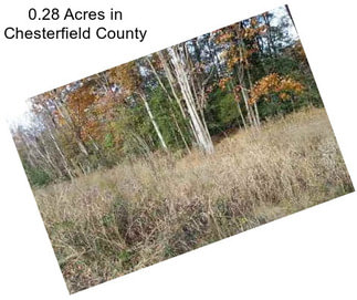0.28 Acres in Chesterfield County