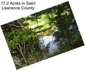 17.2 Acres in Saint Lawrence County