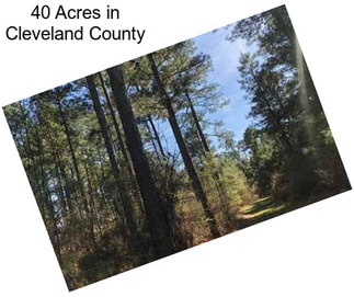 40 Acres in Cleveland County