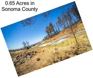 0.65 Acres in Sonoma County
