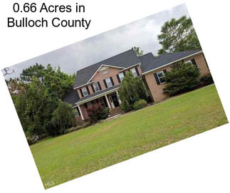 0.66 Acres in Bulloch County