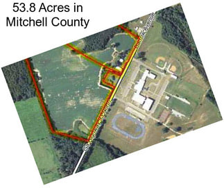 53.8 Acres in Mitchell County