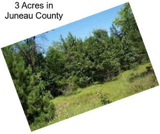 3 Acres in Juneau County