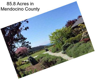 85.8 Acres in Mendocino County