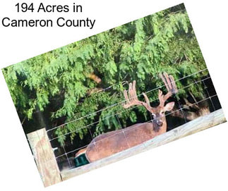 194 Acres in Cameron County