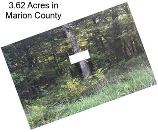 3.62 Acres in Marion County