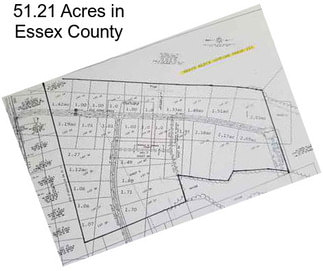 51.21 Acres in Essex County