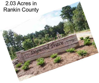 2.03 Acres in Rankin County