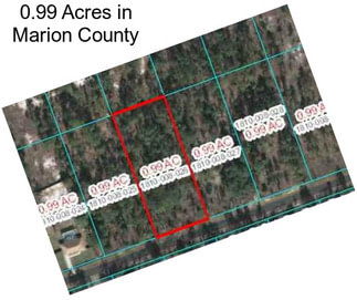 0.99 Acres in Marion County