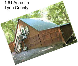 1.61 Acres in Lyon County