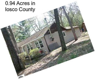 0.94 Acres in Iosco County