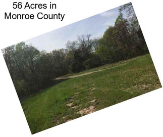 56 Acres in Monroe County