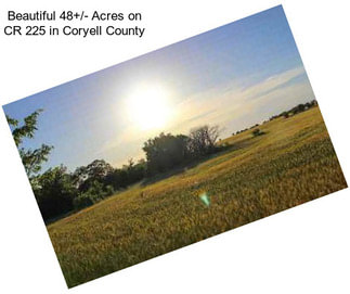 Beautiful 48+/- Acres on CR 225 in Coryell County