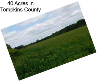 40 Acres in Tompkins County