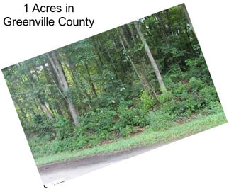 1 Acres in Greenville County