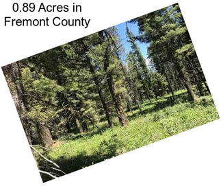 0.89 Acres in Fremont County