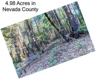 4.98 Acres in Nevada County