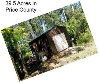 39.5 Acres in Price County