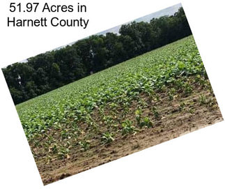 51.97 Acres in Harnett County
