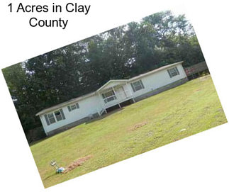 1 Acres in Clay County