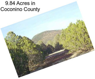 9.84 Acres in Coconino County