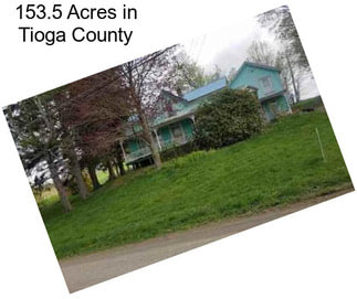 153.5 Acres in Tioga County