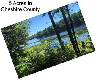5 Acres in Cheshire County