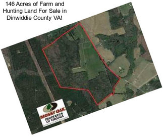 146 Acres of Farm and Hunting Land For Sale in Dinwiddie County VA!