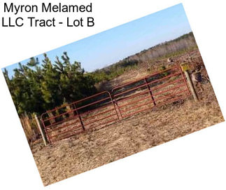 Myron Melamed LLC Tract - Lot B