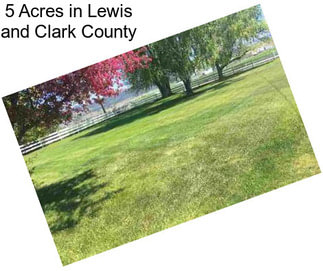 5 Acres in Lewis and Clark County