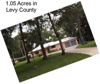 1.05 Acres in Levy County