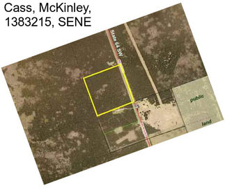 Cass, McKinley, 1383215, SENE