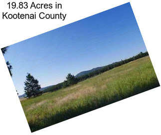 19.83 Acres in Kootenai County