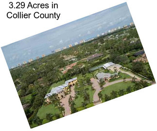 3.29 Acres in Collier County