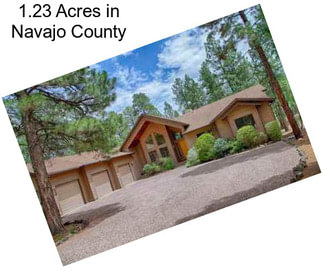 1.23 Acres in Navajo County