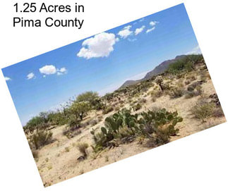 1.25 Acres in Pima County