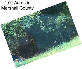 1.01 Acres in Marshall County