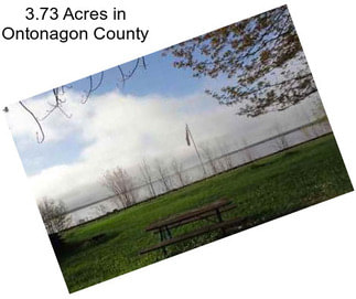 3.73 Acres in Ontonagon County