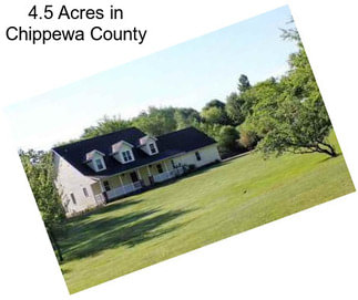4.5 Acres in Chippewa County